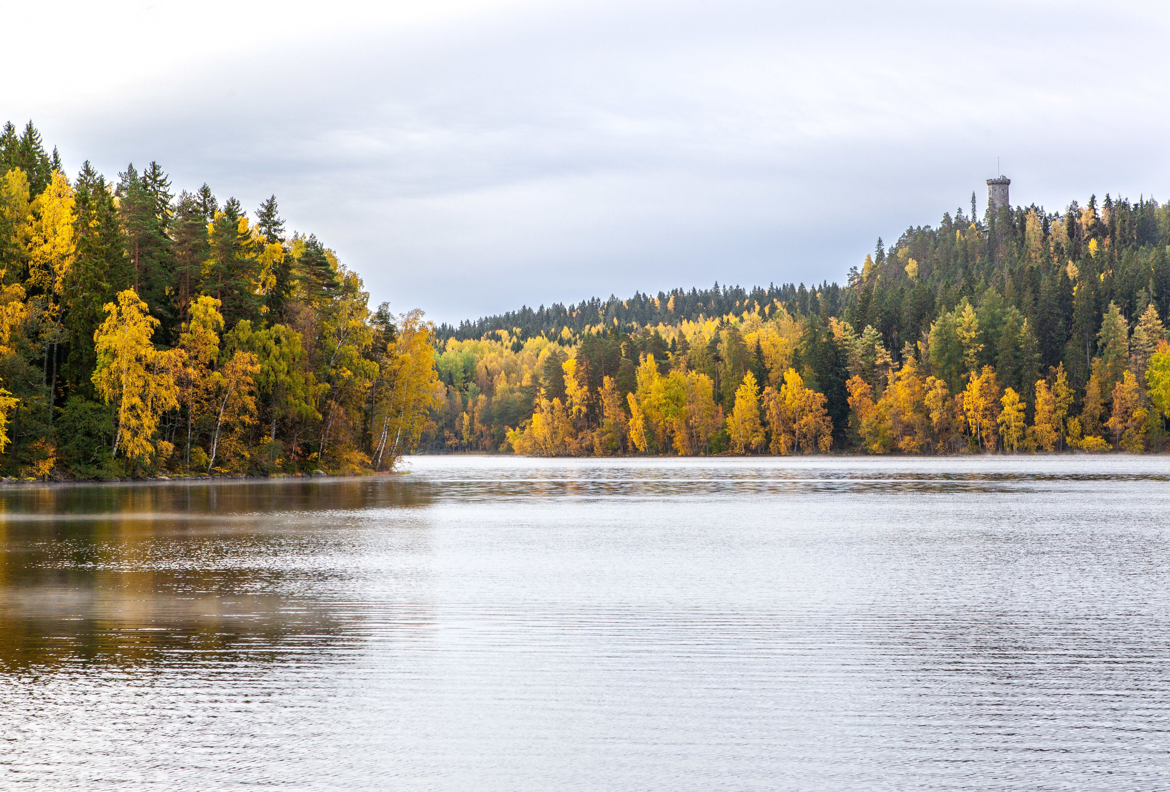 A calm lake surrounded by autumn-colored trees and a tower on a hill.