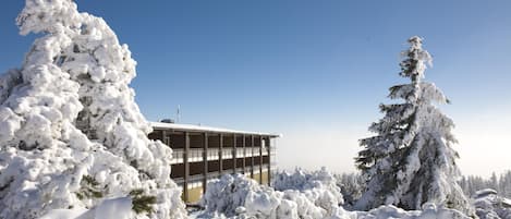 Un edificio rodeado de árboles cubiertos de nieve.