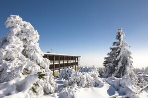 Un edificio rodeado de árboles cubiertos de nieve.