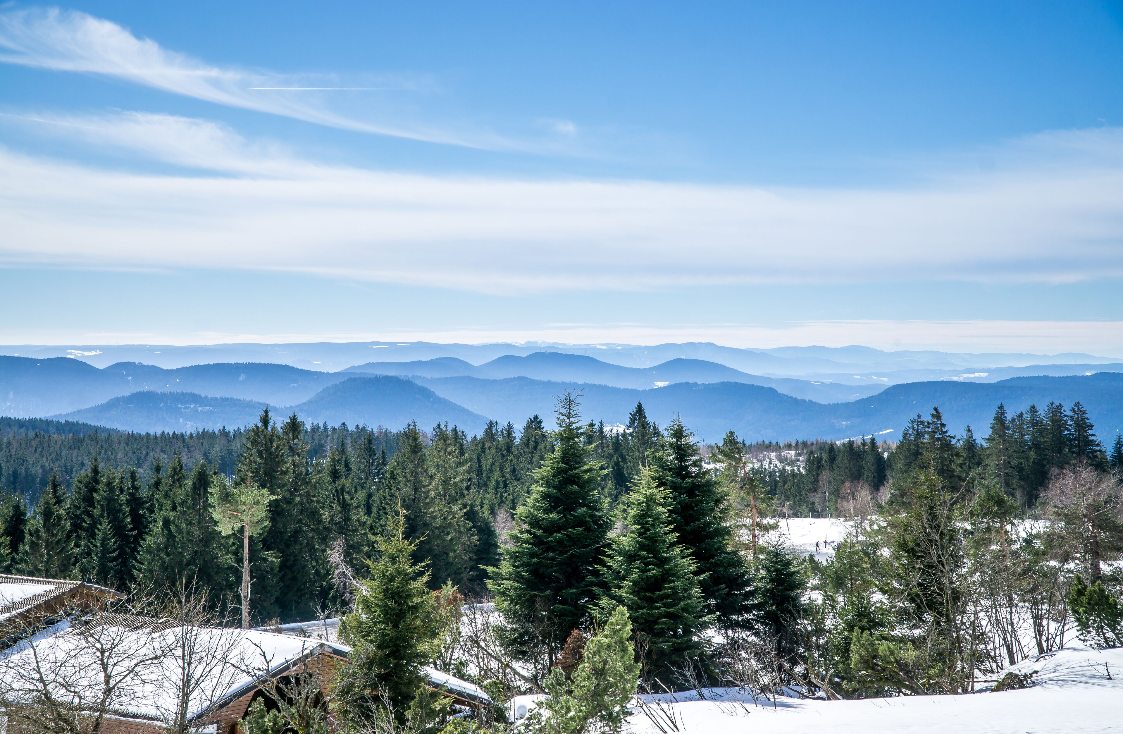 Un paisaje montañoso con bosques densos y suelo cubierto de nieve.