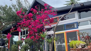 A building with a brick facade, large windows, and a balcony with potted plants. - LanJen Villa B&B (Tainan)