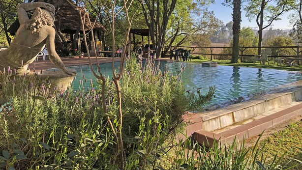 A pool area with a stone sculpture, surrounded by greenery and trees. - Hills and Dales Accommodation (Lanseria)
