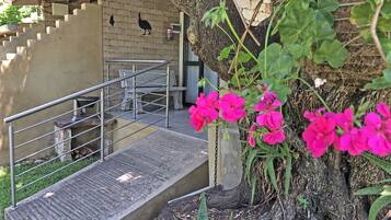 Business Double Room (Guinea Fowl) | 1 bedroom, free WiFi, bed sheets