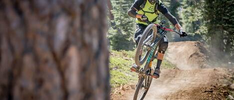 A mountain biker in motion on a dirt trail surrounded by trees.