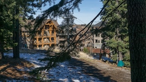 Condo, 1 Bedroom | Property grounds