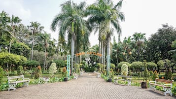 Pemandangan dari properti