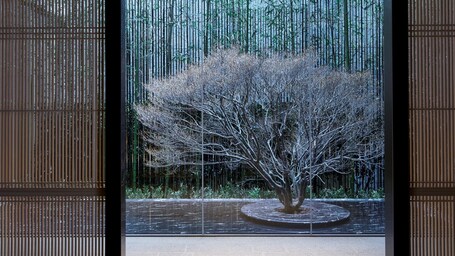 THE THOUSAND KYOTO - Image 72