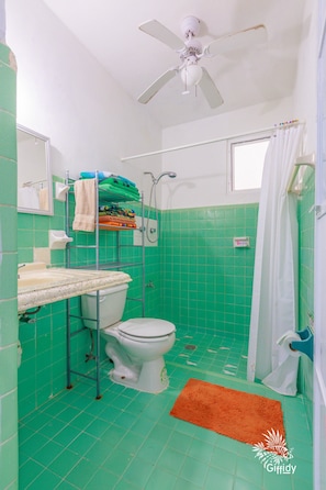 Departamento | Baño | Regadera y regadera tipo lluvia 