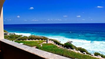 Pemandangan dari hartanah