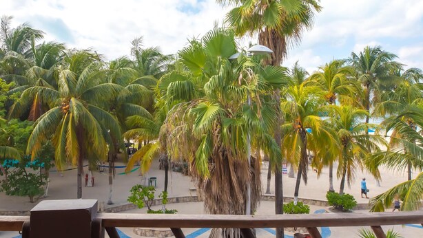 Property grounds - VC Boutique Hotel - Room 1 (Isla Mujeres)