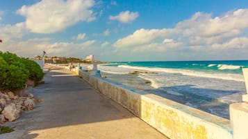 Vista desde la propiedad