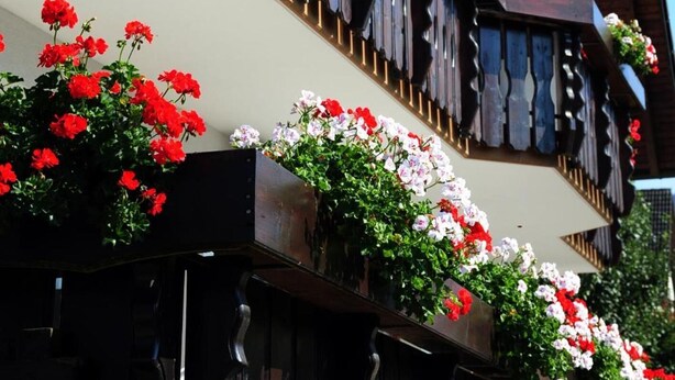 Un edificio de varios pisos con balcones decorados con macetas y flores rojas.