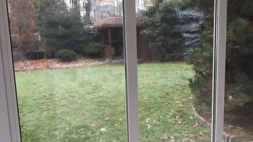 A view through a window of a grassy yard with trees and a building in the background.