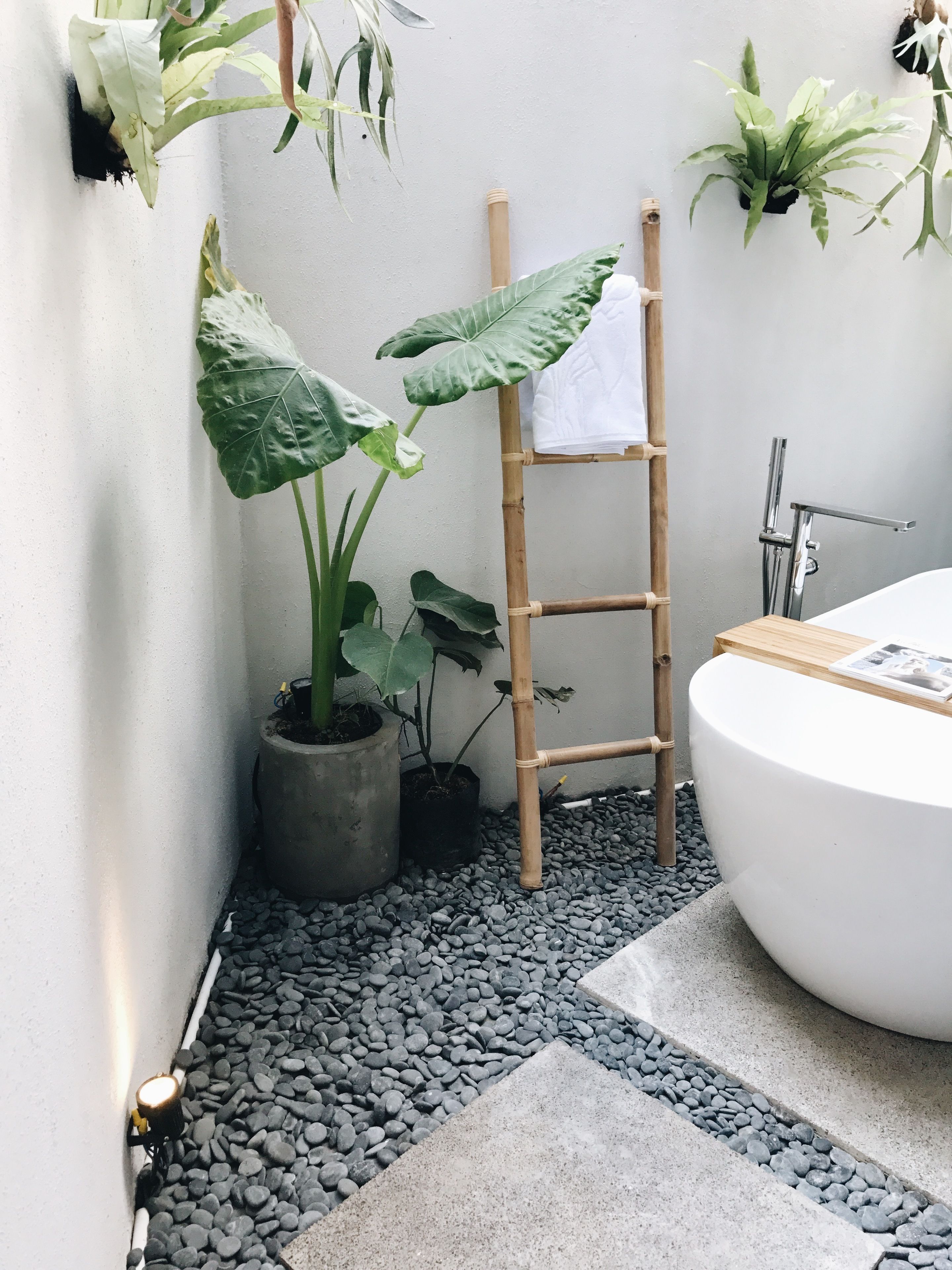Une petite salle de bain avec une baignoire blanche, un escabeau en bambou et des plantes en pot.