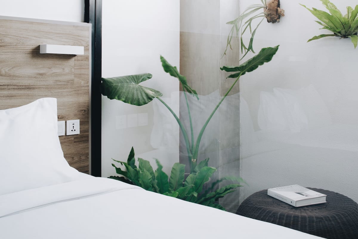 A modern hotel room with a wooden headboard, a white bed, a small round table with a book, and various green plants.