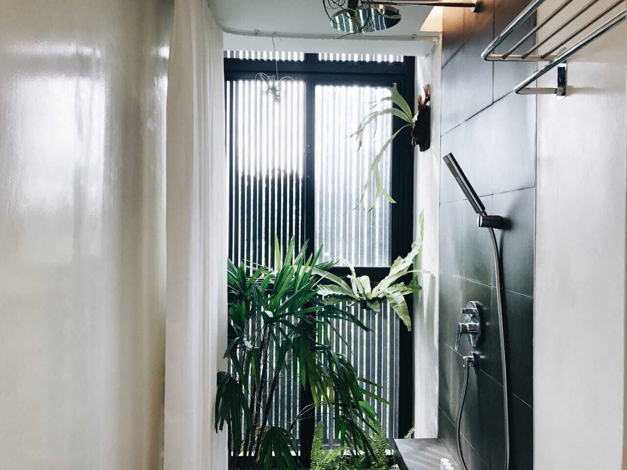 Une salle de bain moderne avec une douche, une plante et une fenêtre équipée de stores.