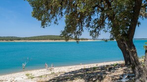 A beach with clear blue water, a rocky shore, and a large tree providing shade. - A Shore Thing Cl1105c 1 Bedroom Cottage by RedAwning (Canyon Lake)