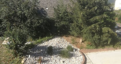 Ferienwohnung Algenrodt