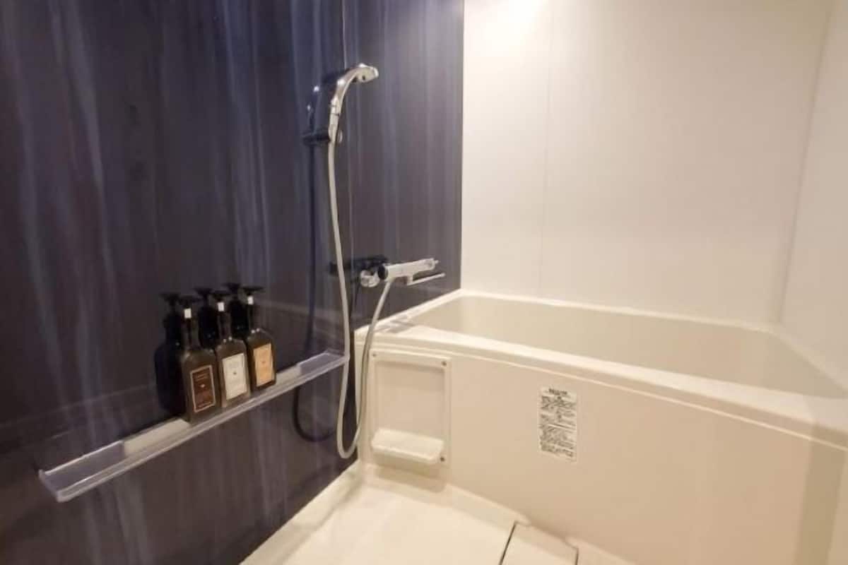Duschwanne, Komfortbadewanne, kostenlose Toilettenartikel, Haartrockner