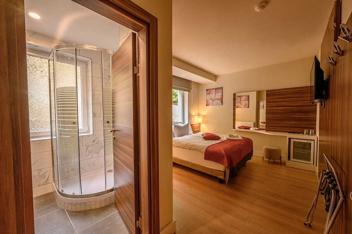 Habitación estándar | Ropa de cama hipoalergénica y minibar