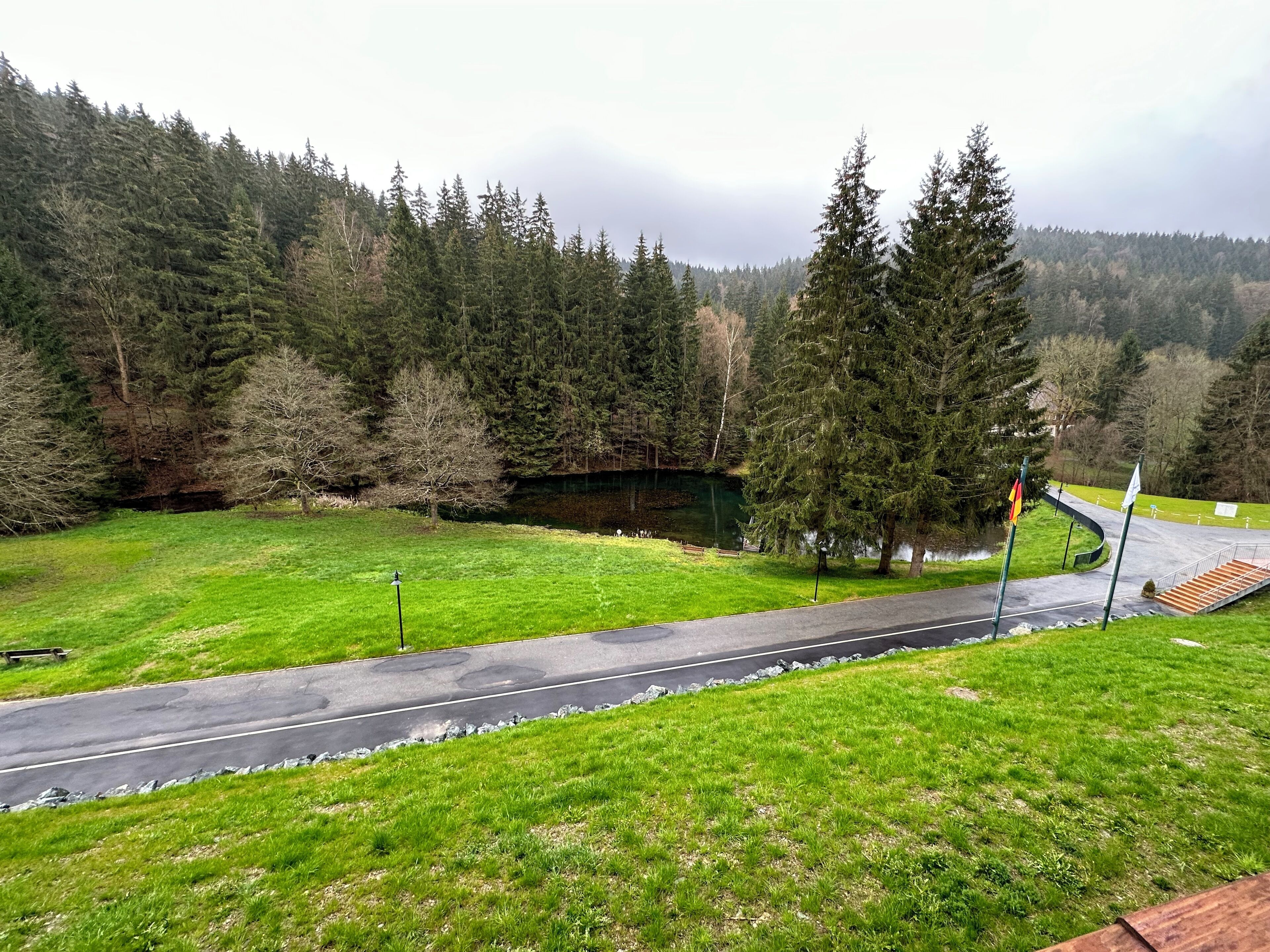 A paved road curving through a grassy area with a lake and dense forest in the background.