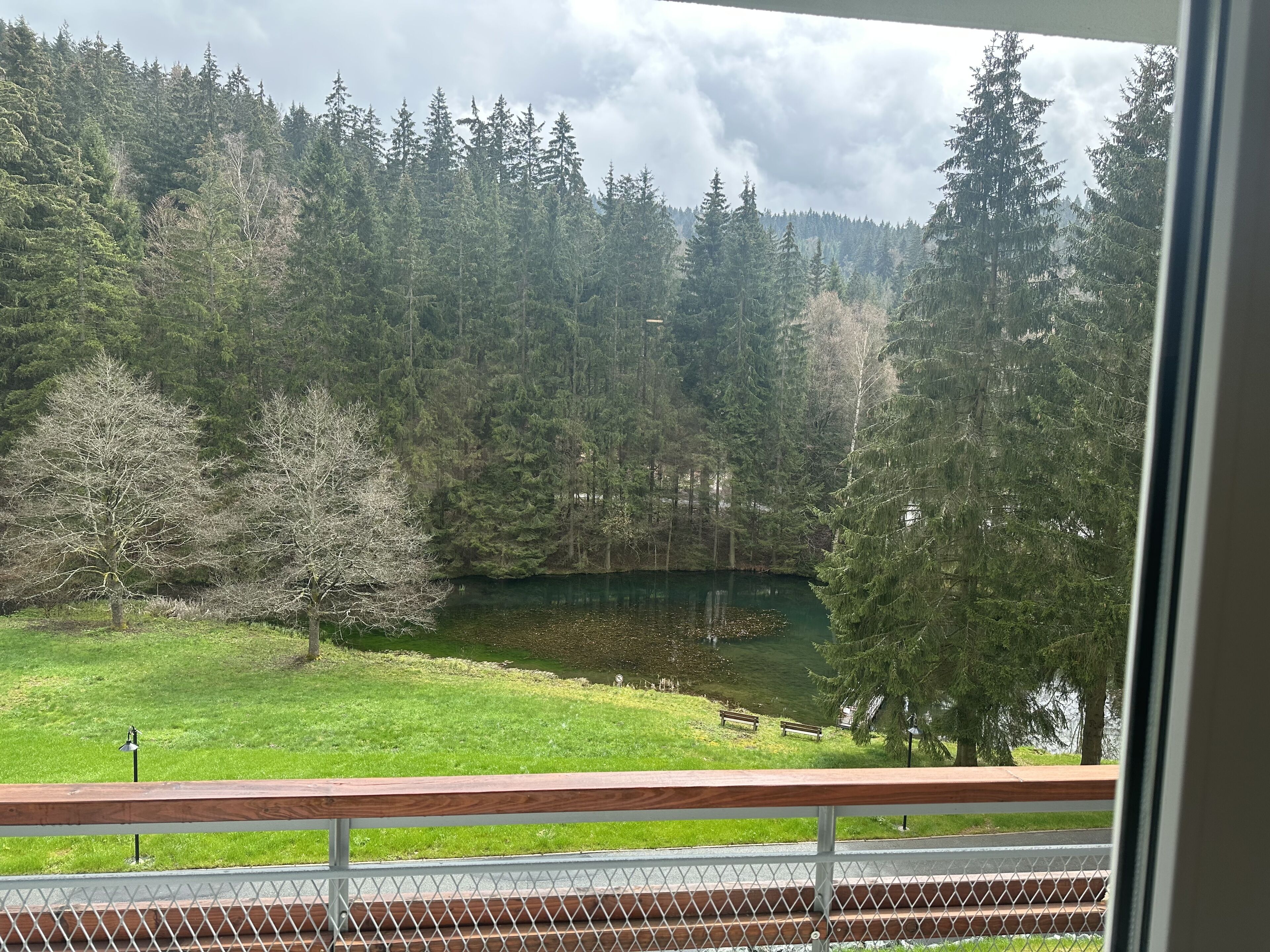 标准双人房或双床房 | 防过敏的被褥、迷你吧、客房内保险箱、办公桌