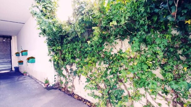 A narrow alley with a wall covered in green ivy and hanging flower baskets. - B&B Minicurcu (Acireale)