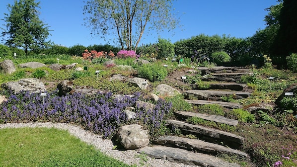 Jardin