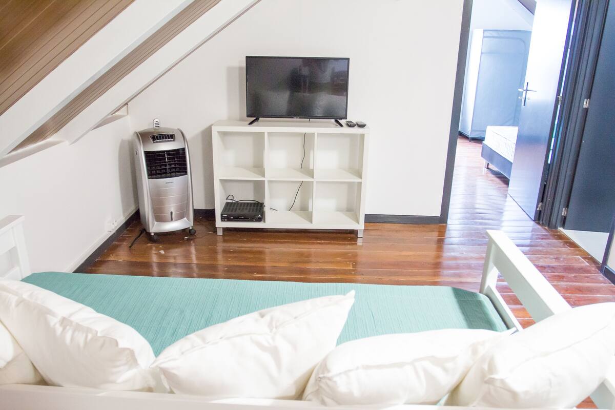 Une chambre avec un lit, un téléviseur posé sur un meuble et un radiateur.