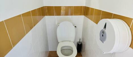 A small bathroom with a toilet, a hand dryer, and a wall-mounted flush handle.