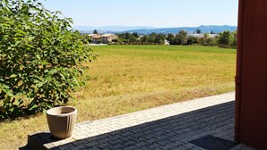 Uklassifisert bilde, 2 av 51, knapp