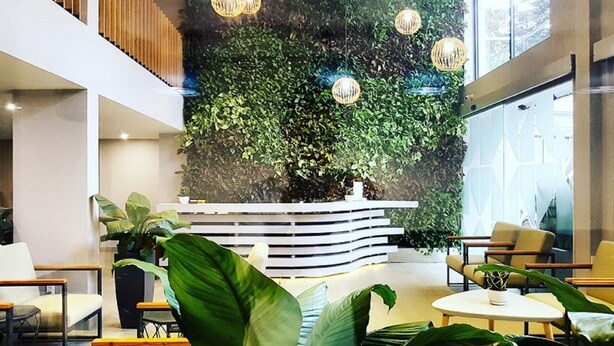 Eine moderne Lobby mit einer Rezeption, einer Sitzecke und einer grünen Wand mit Pflanzen.