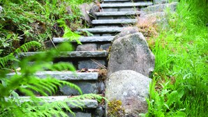 A stone staircase leading up to a stone building with a window. - Leny Estate (Callander)