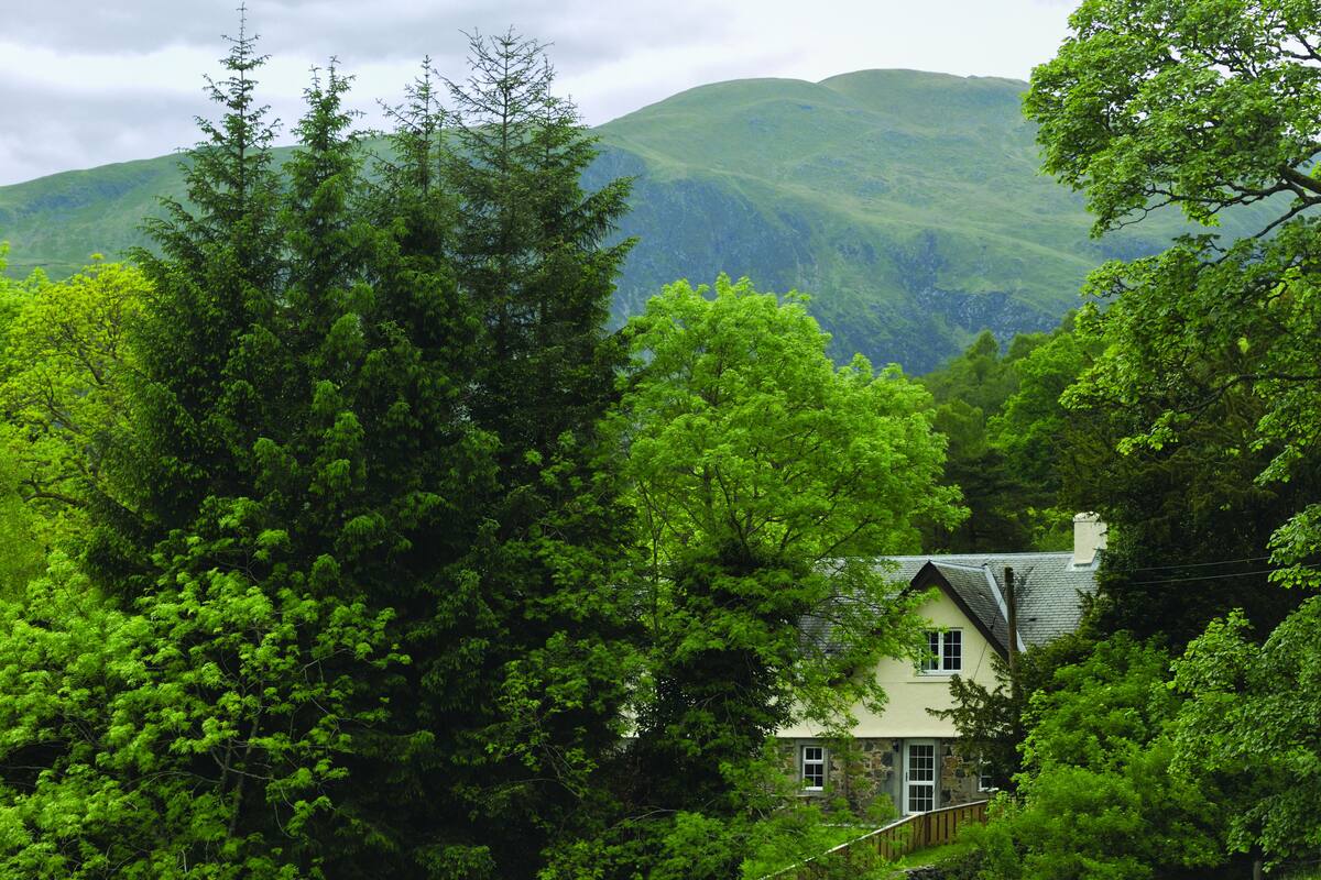 A house surrounded by lush green trees and hills in the background.