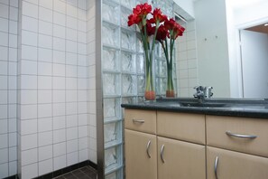 Deluxe appartement | Badkamer | Een douche, gratis toiletartikelen, een haardroger, handdoeken