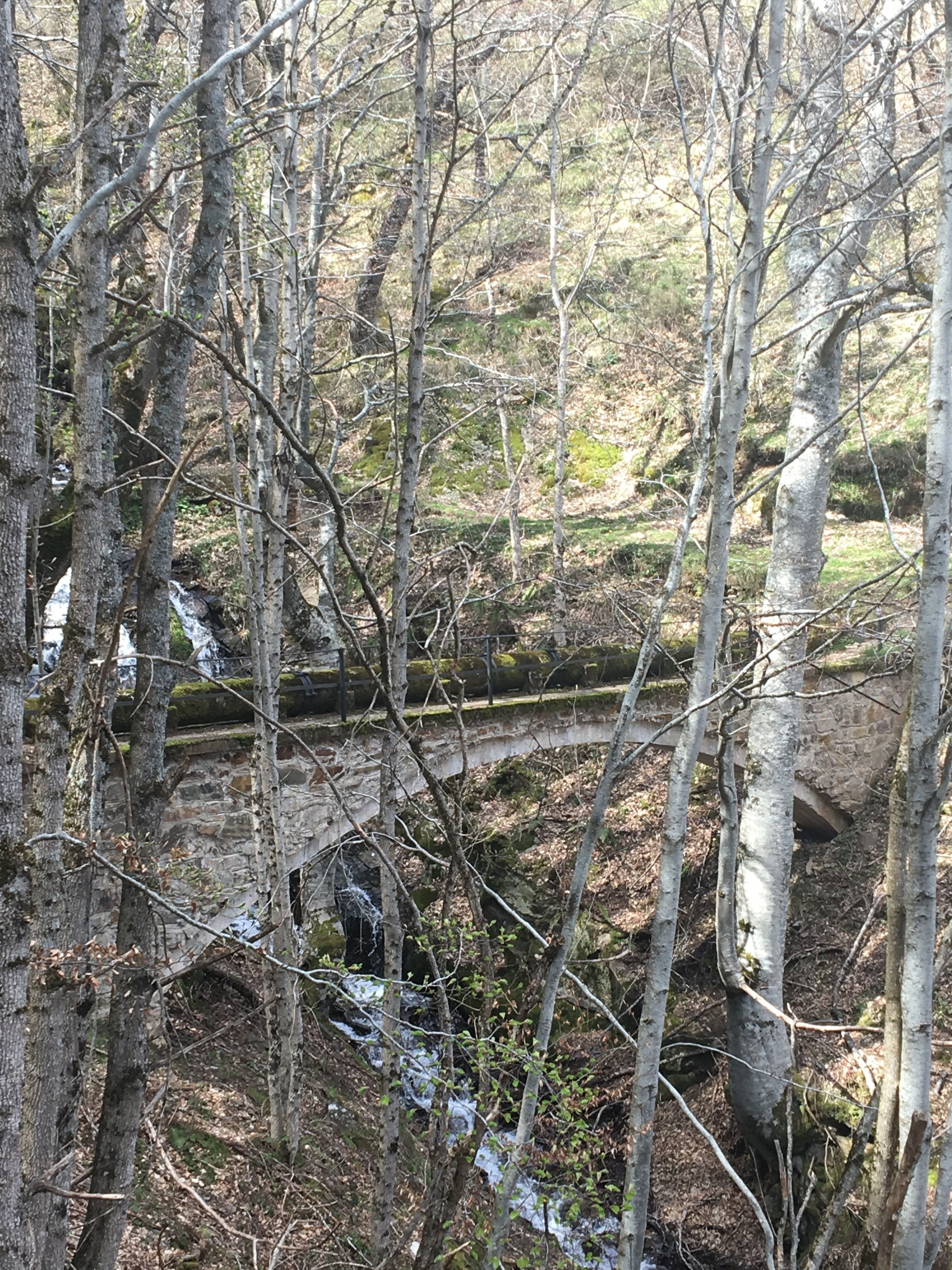 Uma ponte de pedra em área arborizada, com árvores e um pequeno riacho.