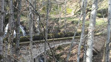Uma ponte de pedra em área arborizada, com árvores e um pequeno riacho.