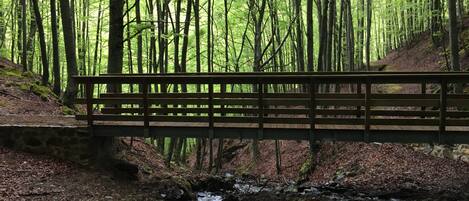 A wooden bridge over a stream in a forested area.