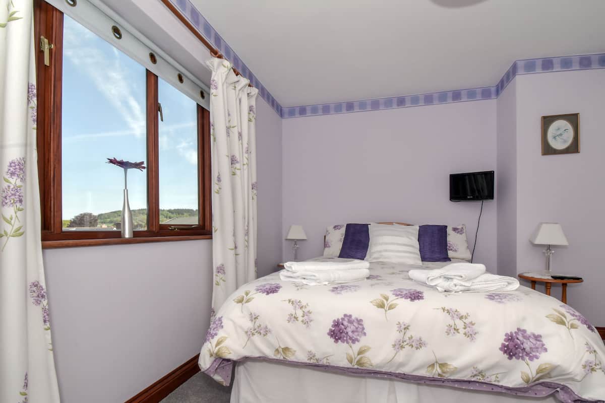 A bedroom with a large bed, two bedside tables, a TV, and a window with curtains.