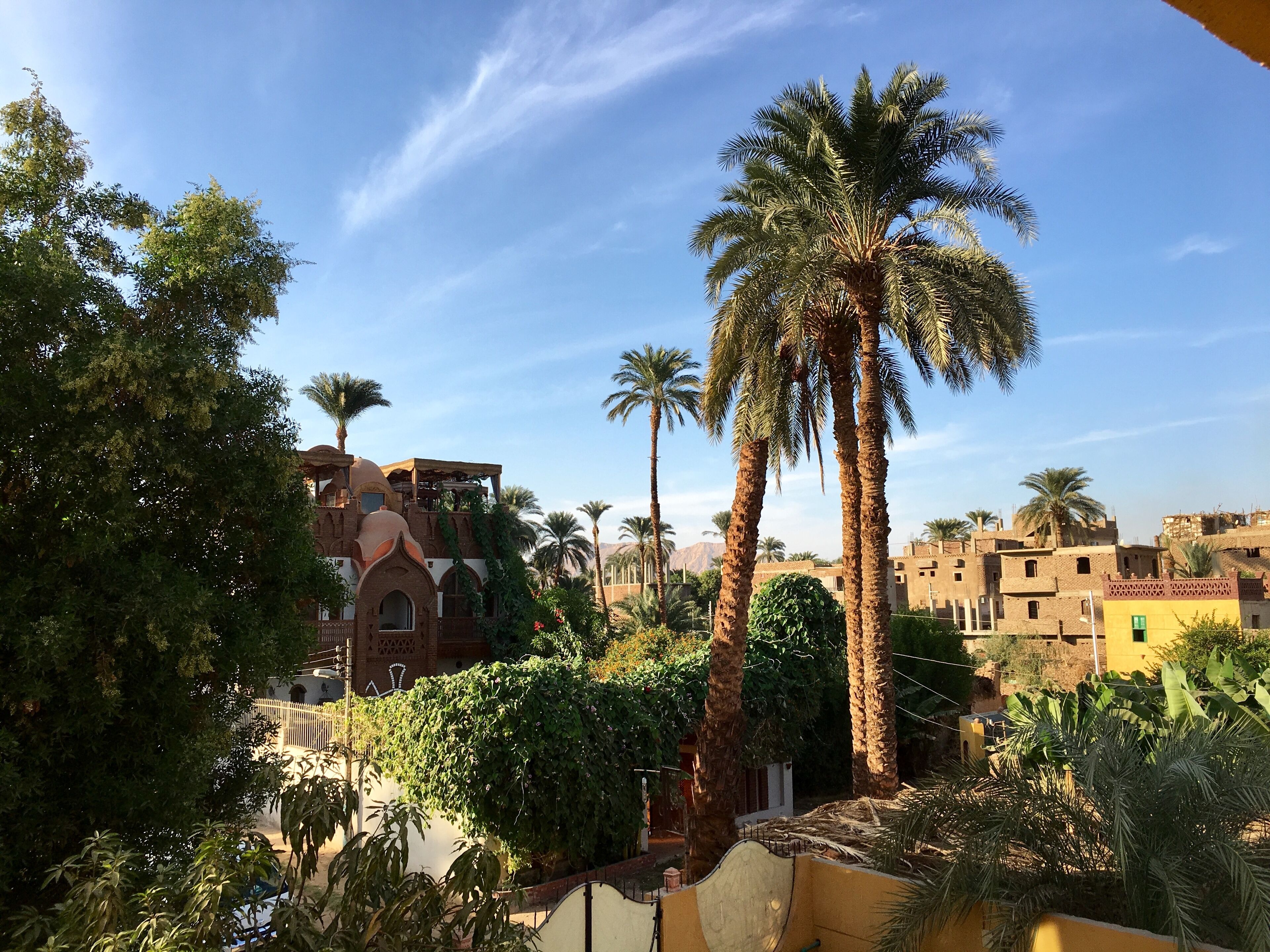 A traditional building with arched windows and a dome, surrounded by palm trees and greenery.