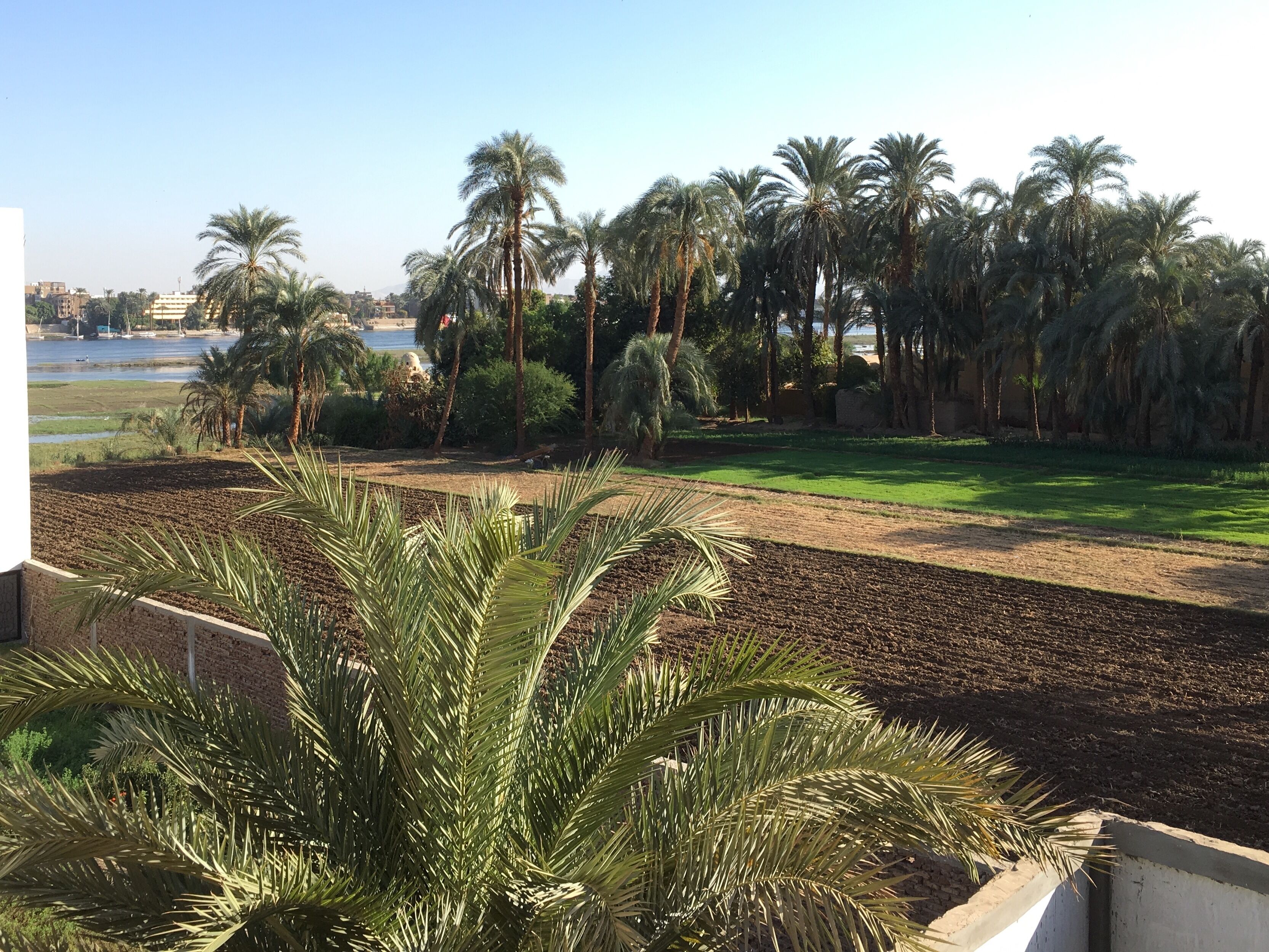 Foto - Jewel Howard Carter Hotel