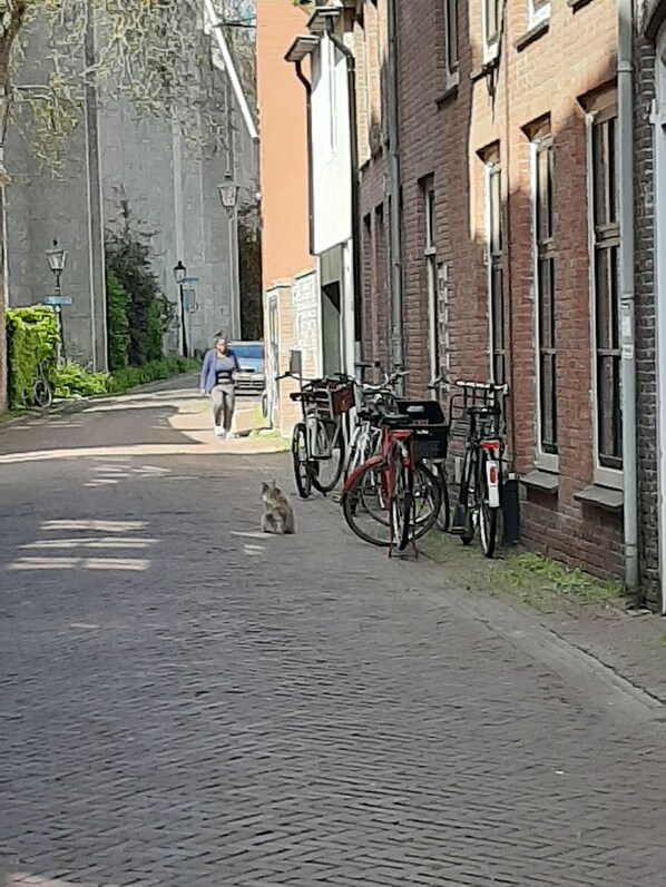 Front of property - Stadslogement Bij de Sassenpoort (Zwolle)