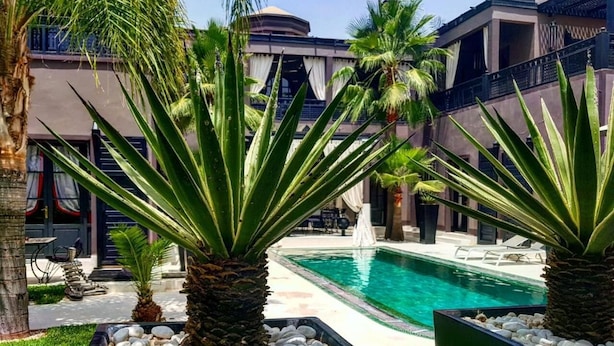 Une piscine entourée de palmiers, avec un bâtiment en arrière-plan.