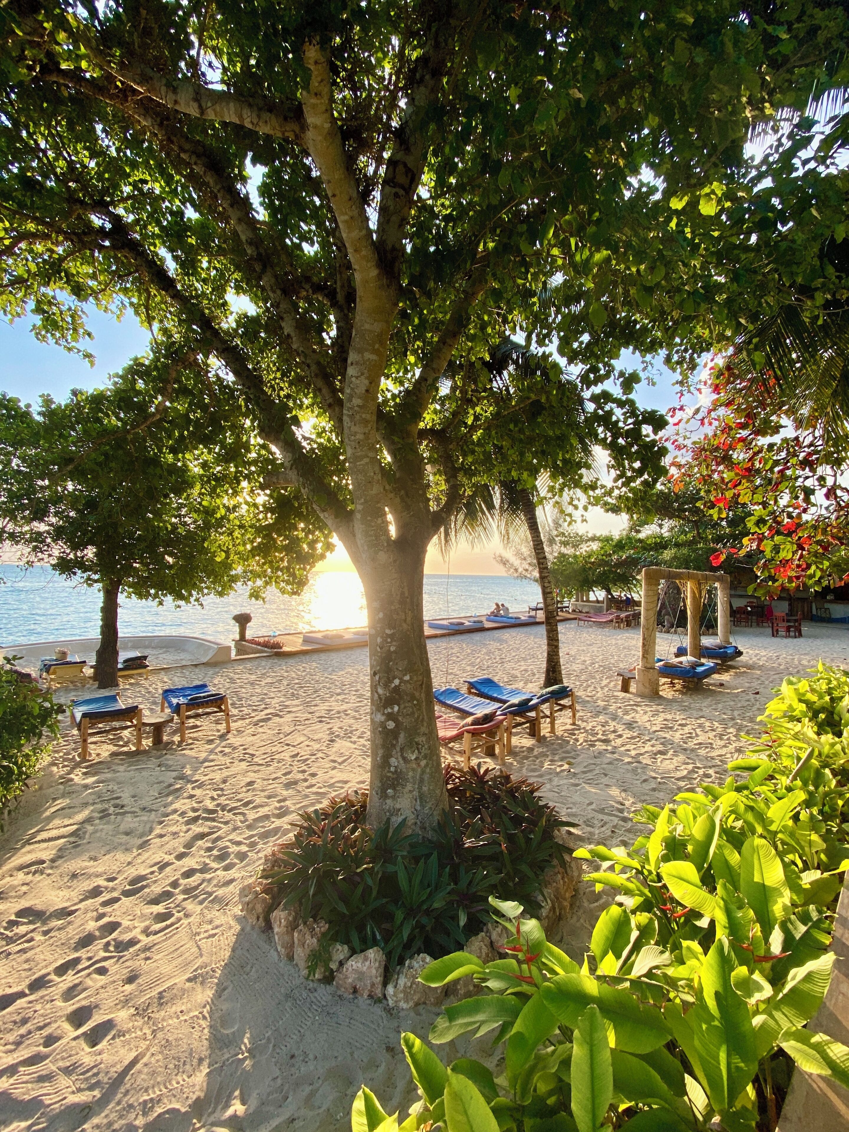 Accommodatie ligt op het strand, wit zand, ligstoelen, strandlakens