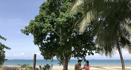 Mangrove Lodge