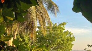 Un espacio de comedor frente al mar, con mesas y sillas, palmeras y vistas al océano.