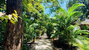 Un sendero bordeado por vegetación exuberante y árboles, que conduce a una estructura con techo de paja.