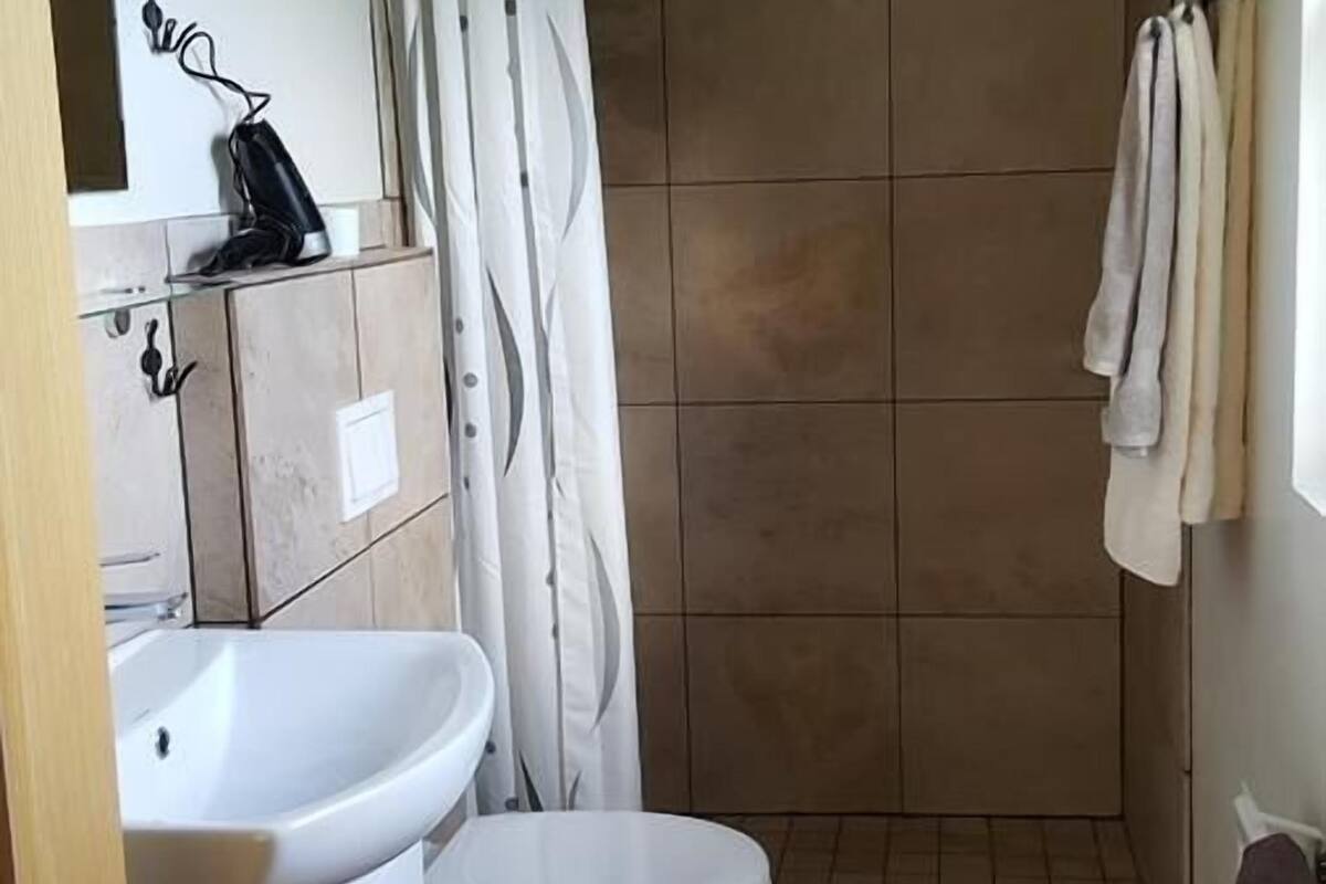 Baño con inodoro, lavabo y zona de ducha.