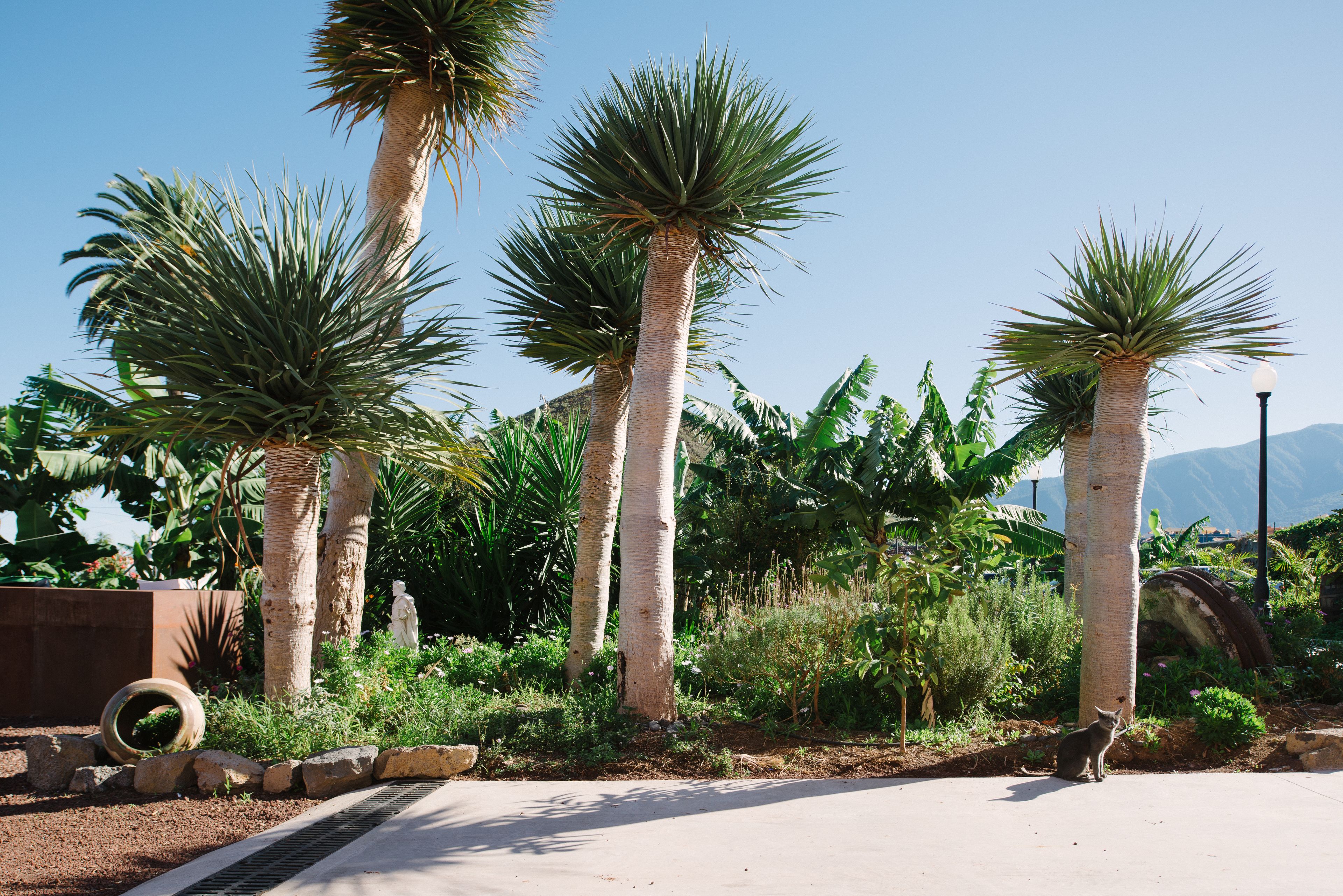 Photo - Finca el Patio