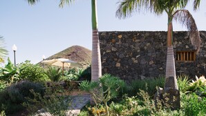 Un edificio de piedra con una palmera frente a él, rodeado de vegetación exuberante y un cielo despejado.